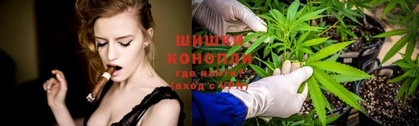гашик Магас