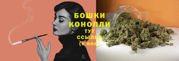 гашик Магас