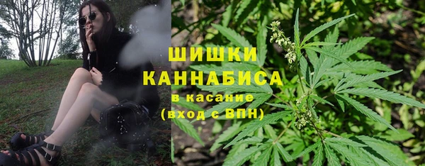 гашик Магас