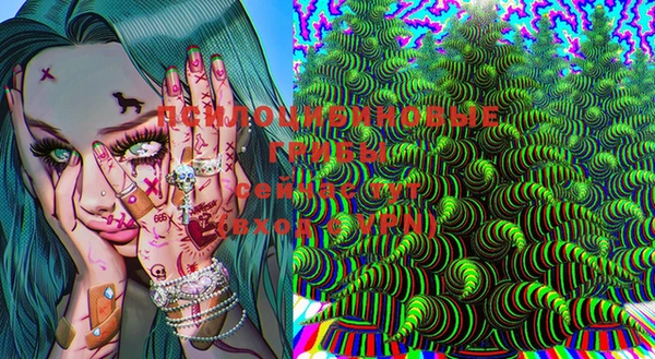 мяу мяу мука Магадан