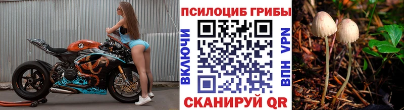 Галлюциногенные грибы мицелий  Купить закладки  Фурманов 